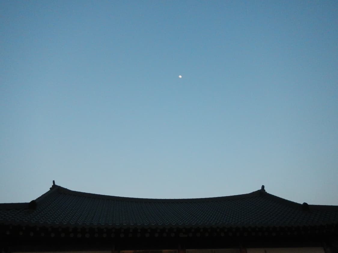 작례o) 니콘 쿨픽스 aw100 상품이미지4