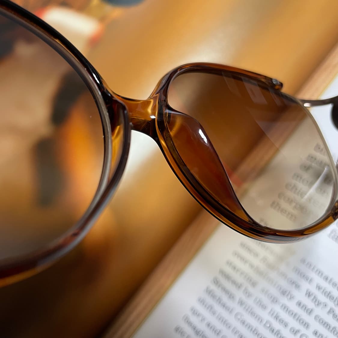 ETRO 에트로 선글라스 명품 안경 상품이미지6