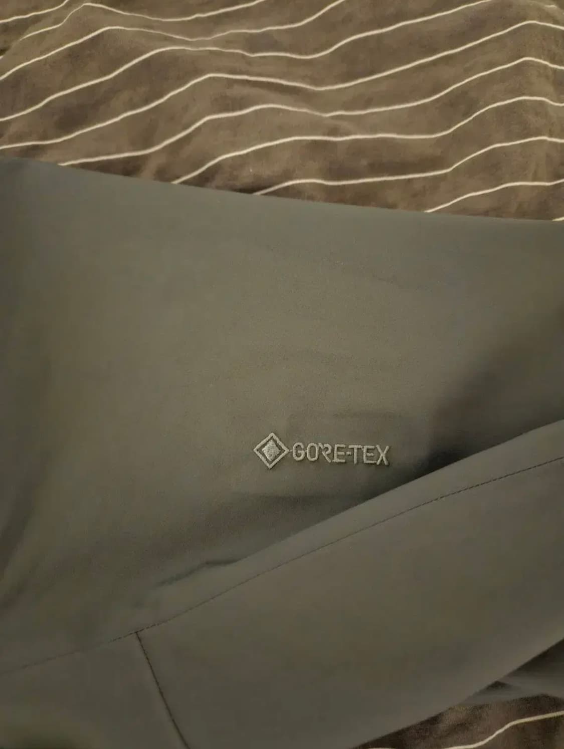 아크테릭스 베타 클라우드 L  상품이미지2