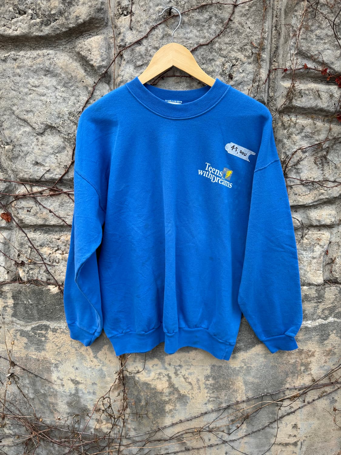 00s 헤인즈 빈티지 컨디션 양면 프린팅 스웻 셔츠 맨투맨 블루 상품이미지1