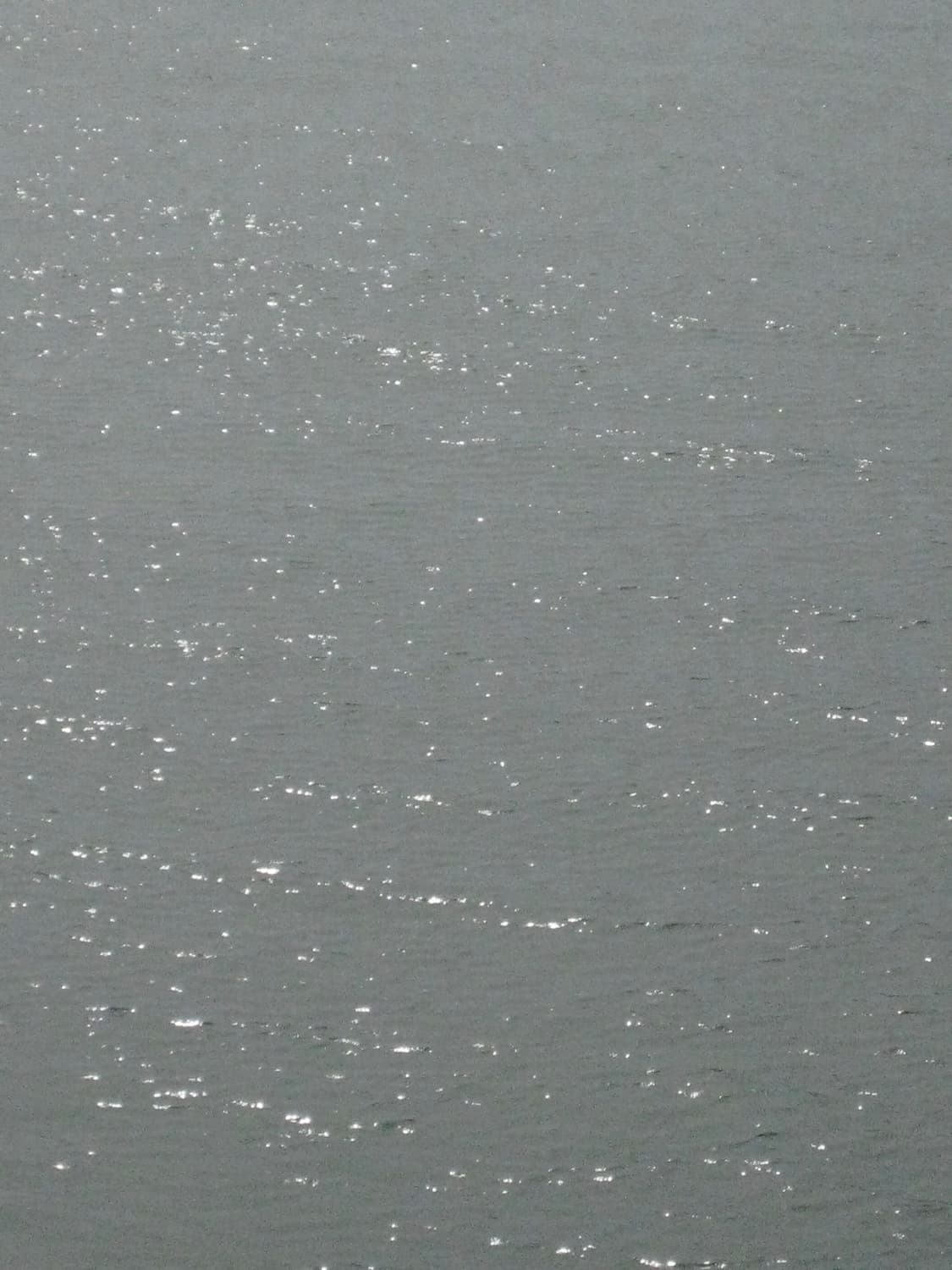 캐논 익서스70(canon ixus70, ixy10) 디카 상품이미지9