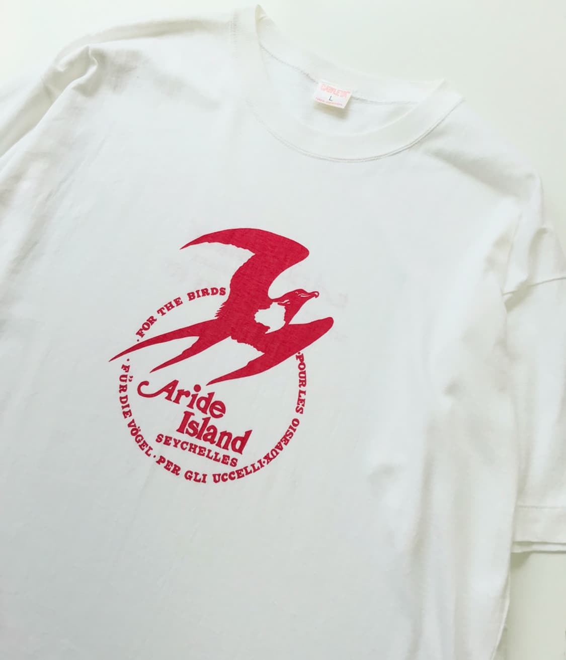 CATTLEYA 상품이미지1