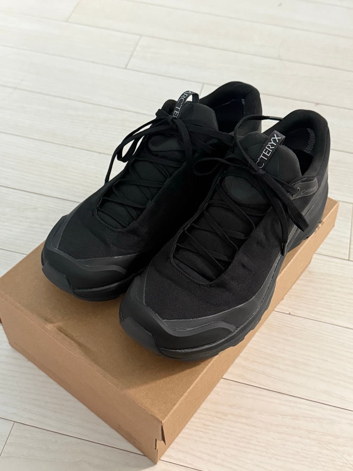 아크테릭스 에어리어스fl 250 상품이미지3