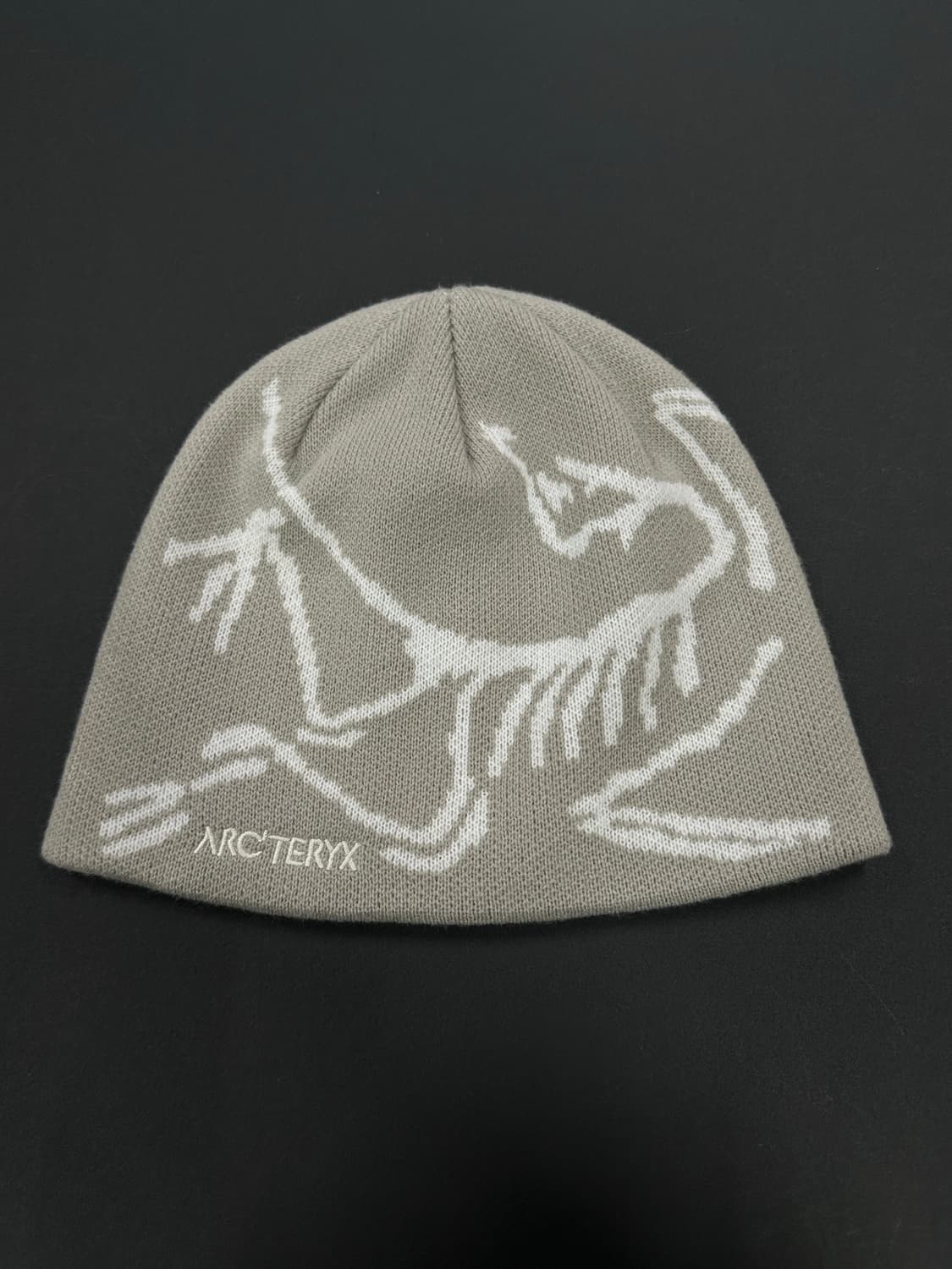 아크테릭스 버드헤드 토크 오르카 비니 상품이미지5