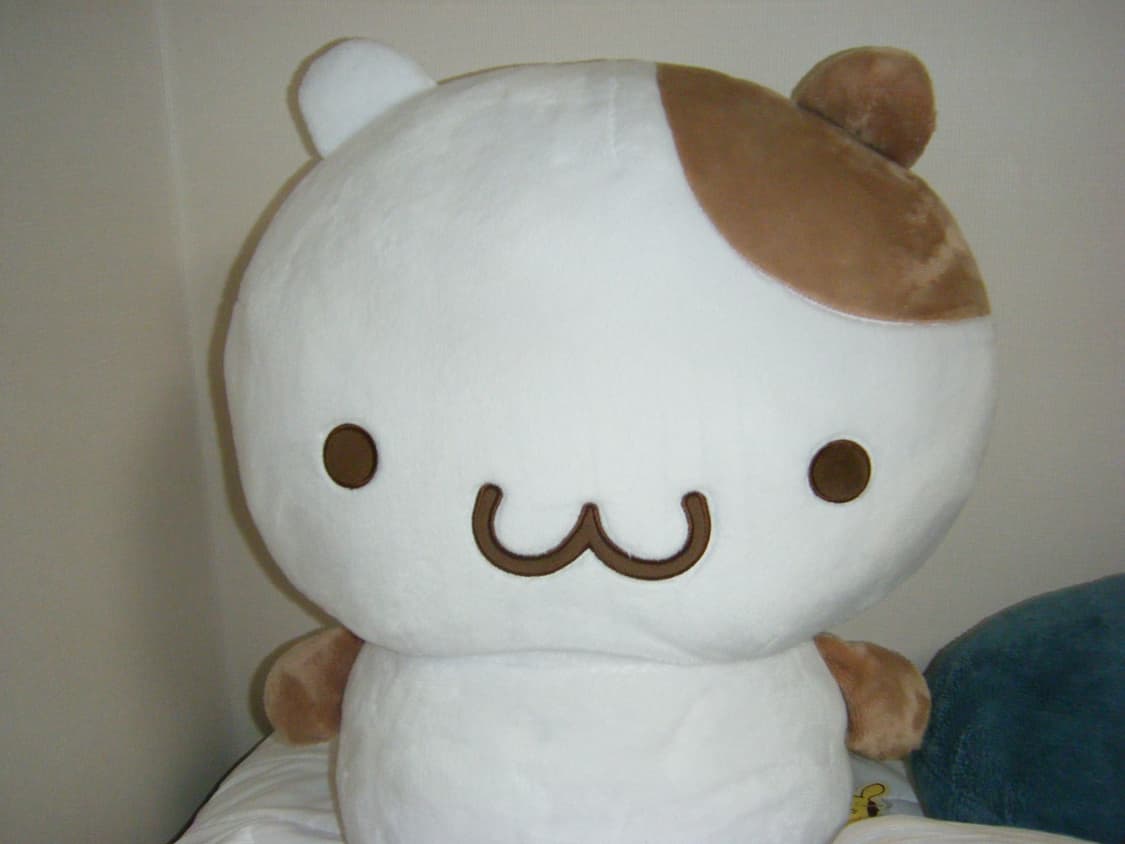 후지필름 파인픽스 finepix z100fd 상품이미지9