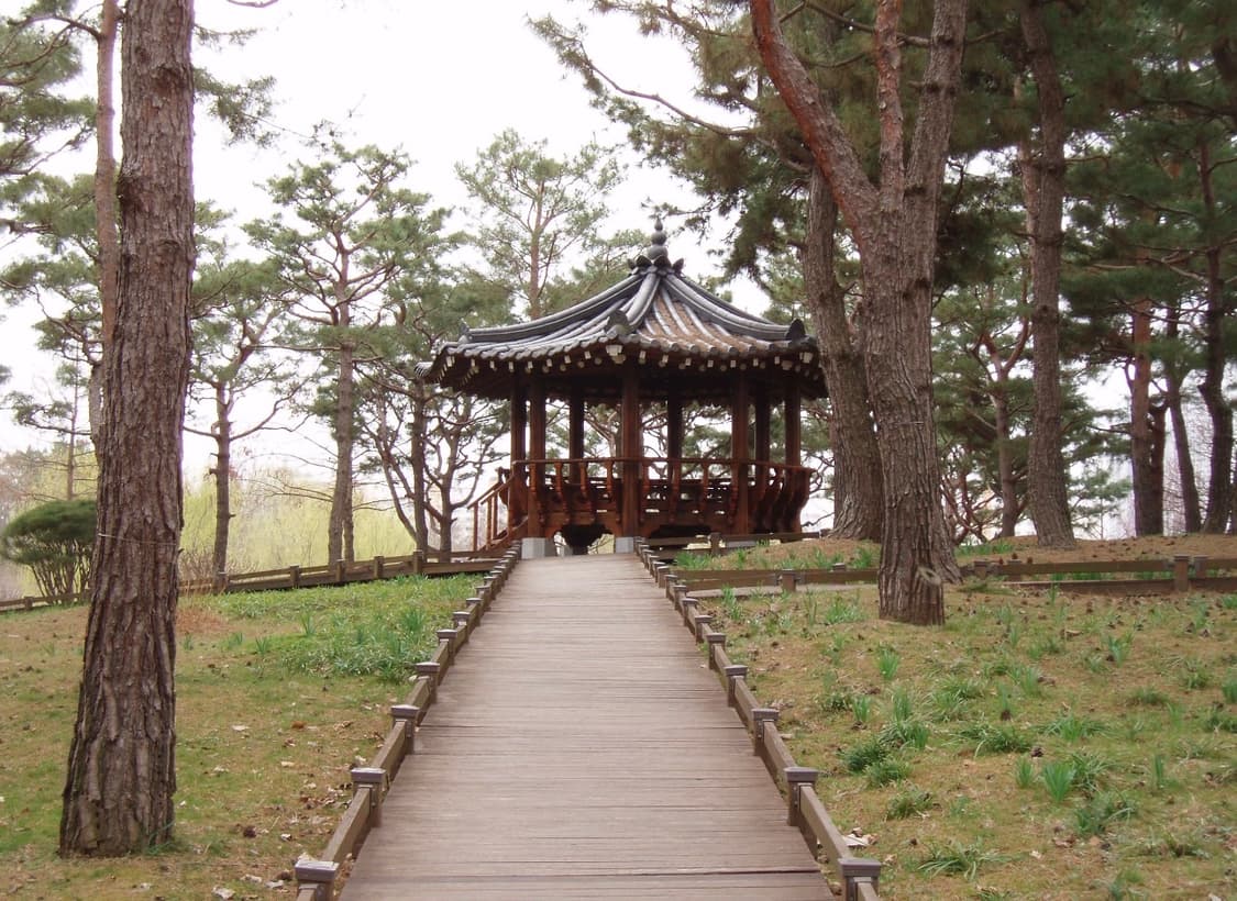 올림푸스 뮤 디지털 500 카메라 (작례포함) 상품이미지5