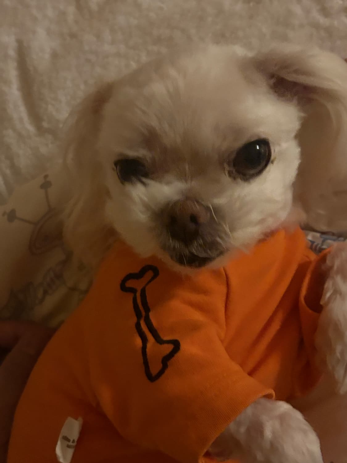 카드결제 상품이미지1