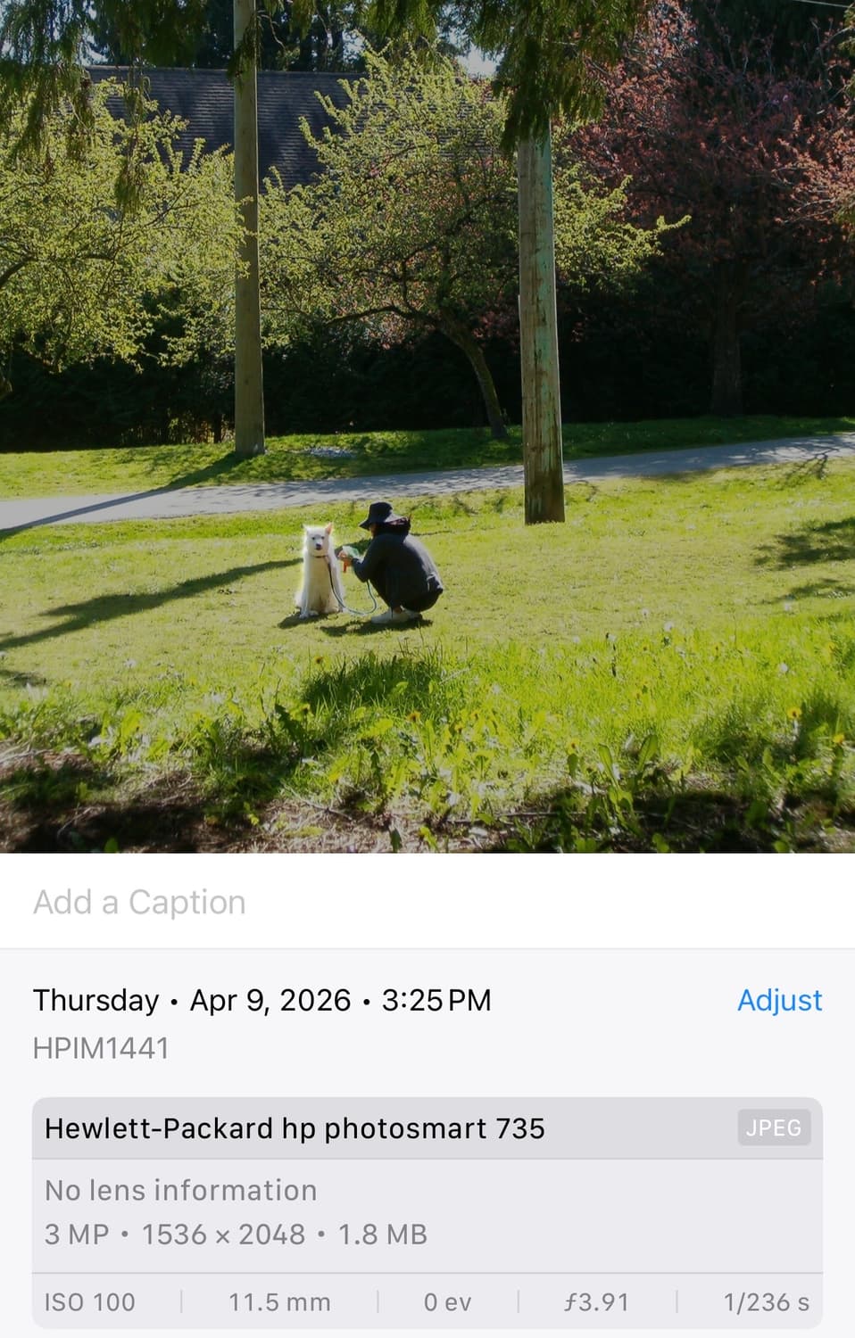 HP Photosmart 735 상품이미지4