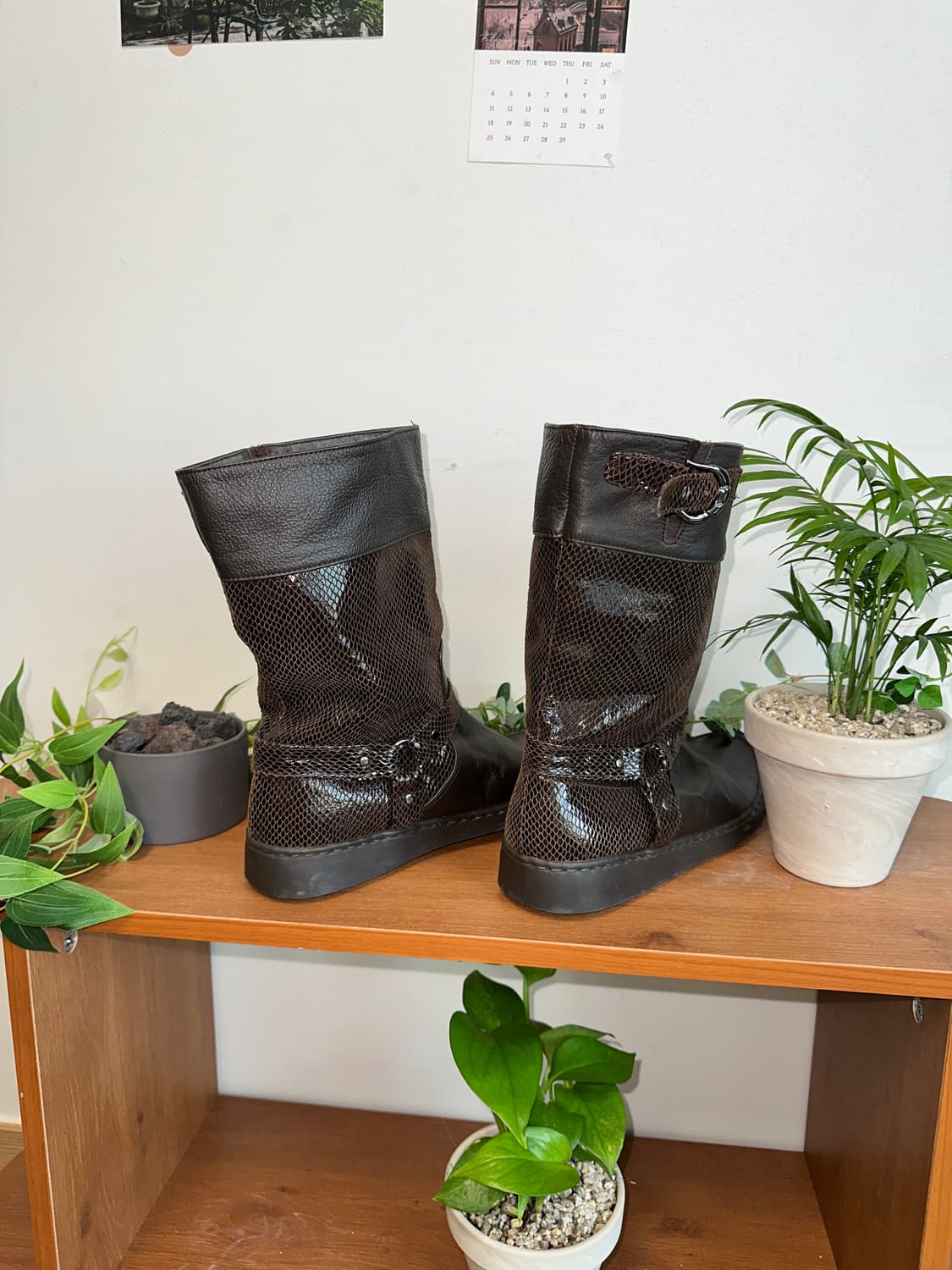 Dark brown python buckle boots 상품이미지4