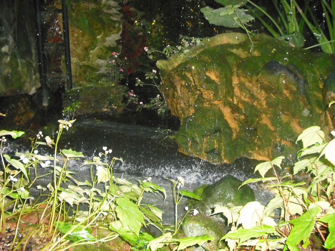 Fujifilm FinePix j10 후지필름 파인픽스 디카 상품이미지10