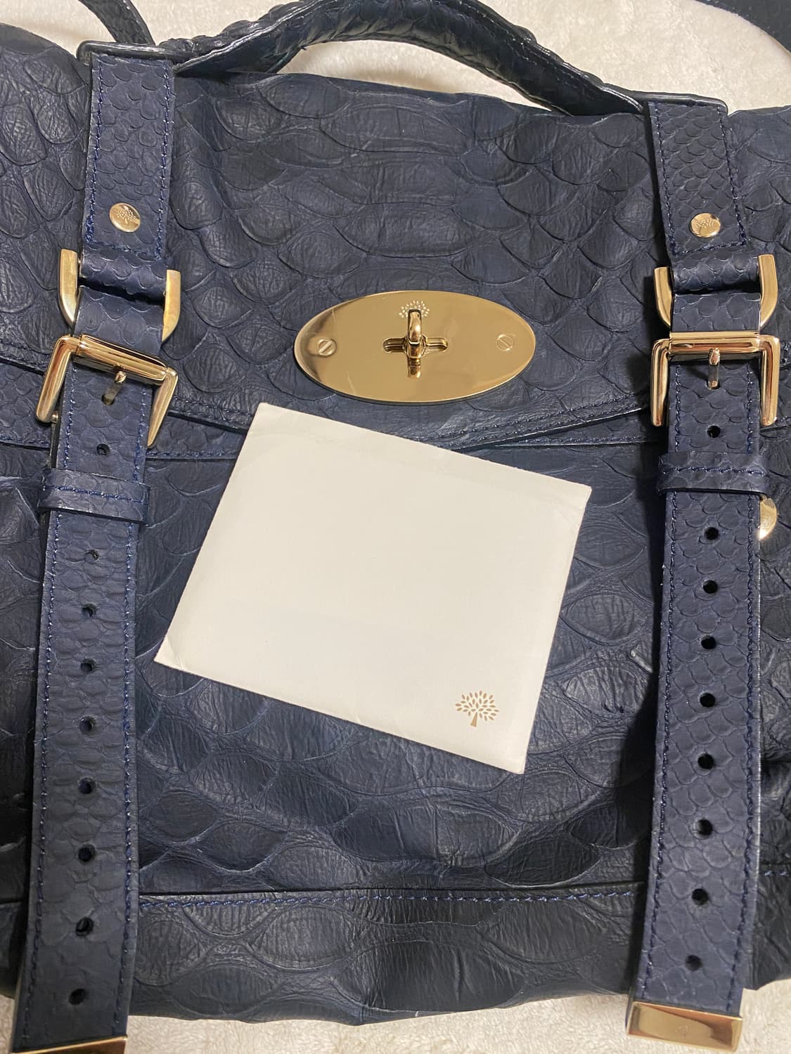 멀버리 알렉사 실키 스네이크백 상품이미지1