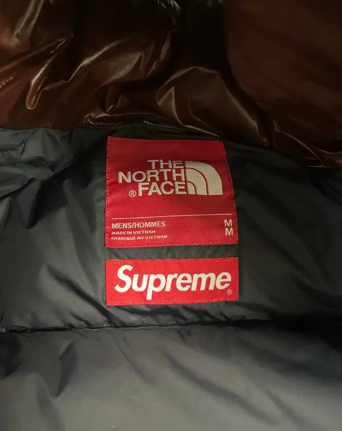 슈노 700 브라운패딩 상품이미지4