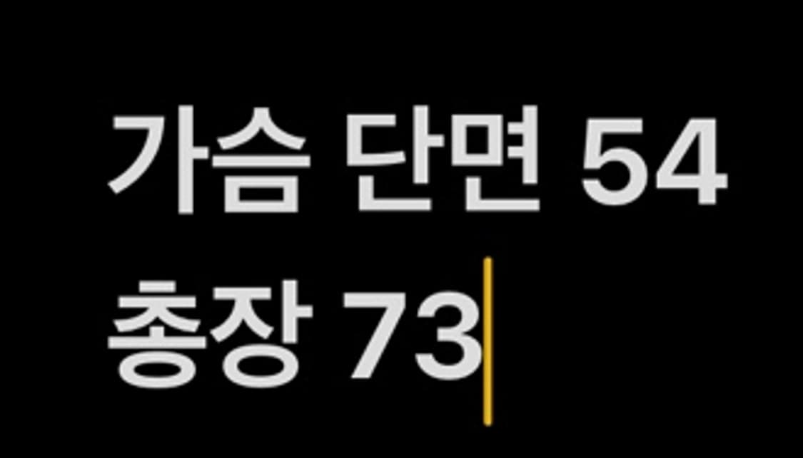 [정품/100,L] 나이키 러닝 카모 스카치 바람막이 후드집업 b15 상품이미지9
