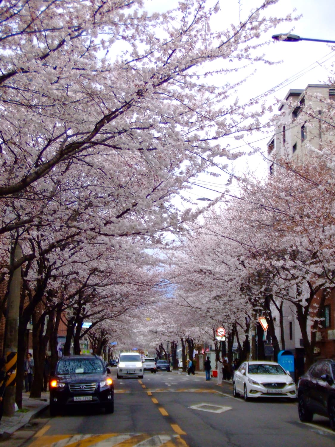 (아일릿, 뉴진스) 후지필름 파인픽스 z5fd 베이비핑크 디카 상품이미지4