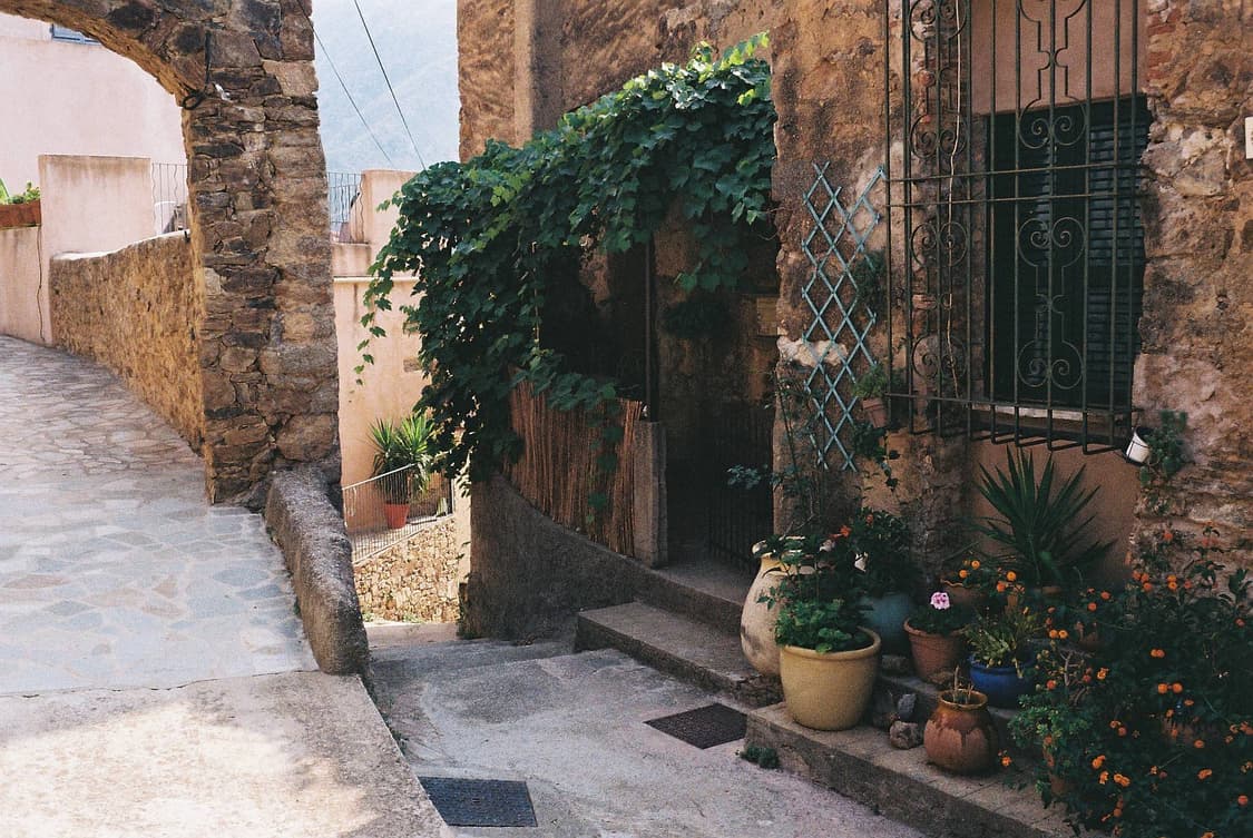 작례O 미녹스 명품 현대 AF 미니 2 필름카메라 빈티지 필카 상품이미지4