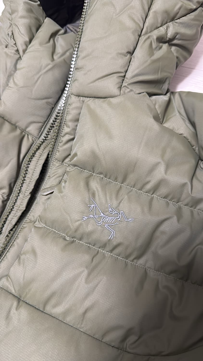 아크테릭스 토륨 후디 타츠 s 상품이미지4