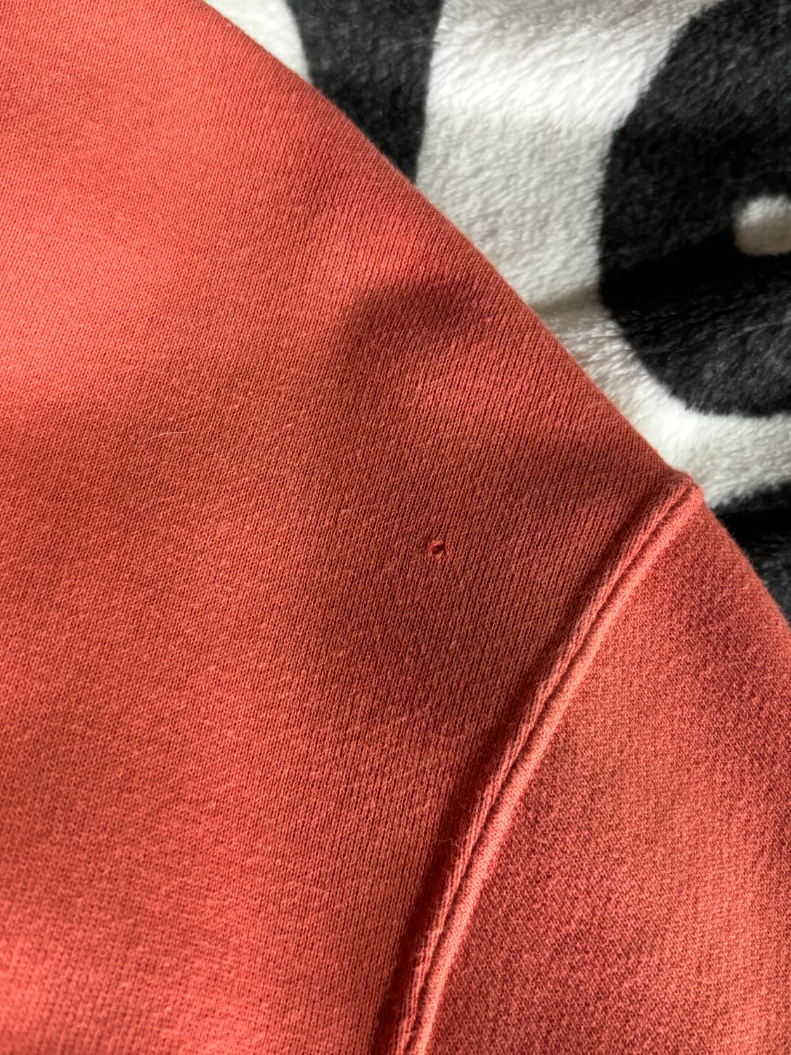 Champion 코랄 맨투맨 / Coral Sweatshirt 상품이미지5