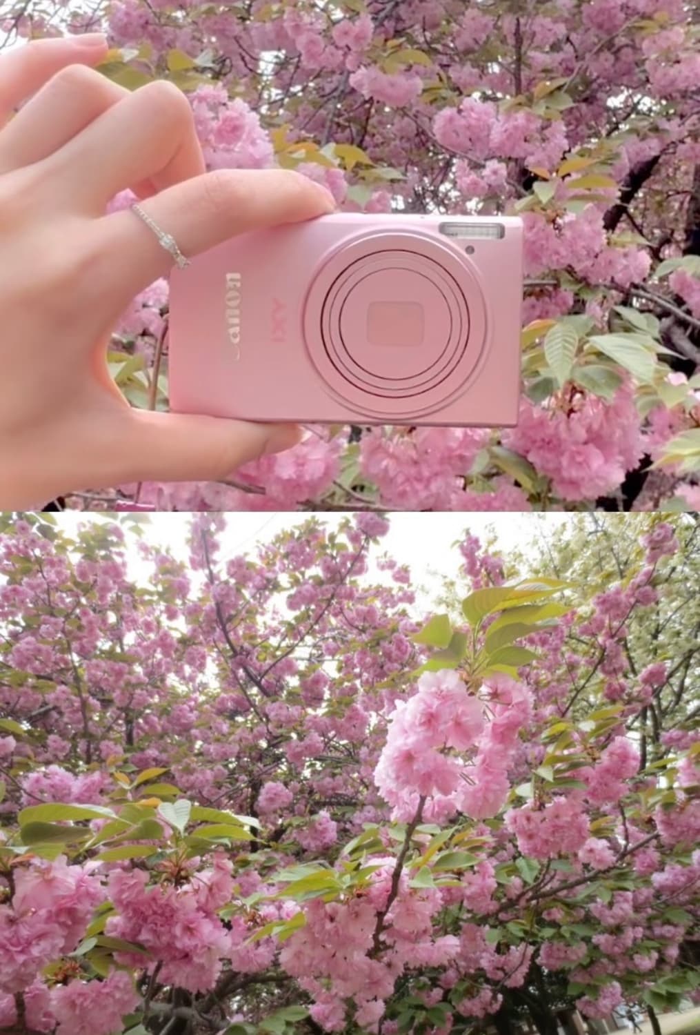 작례있음) 캐논 익시 IXY 220F , Ixus125 canon 익서스 상품이미지2