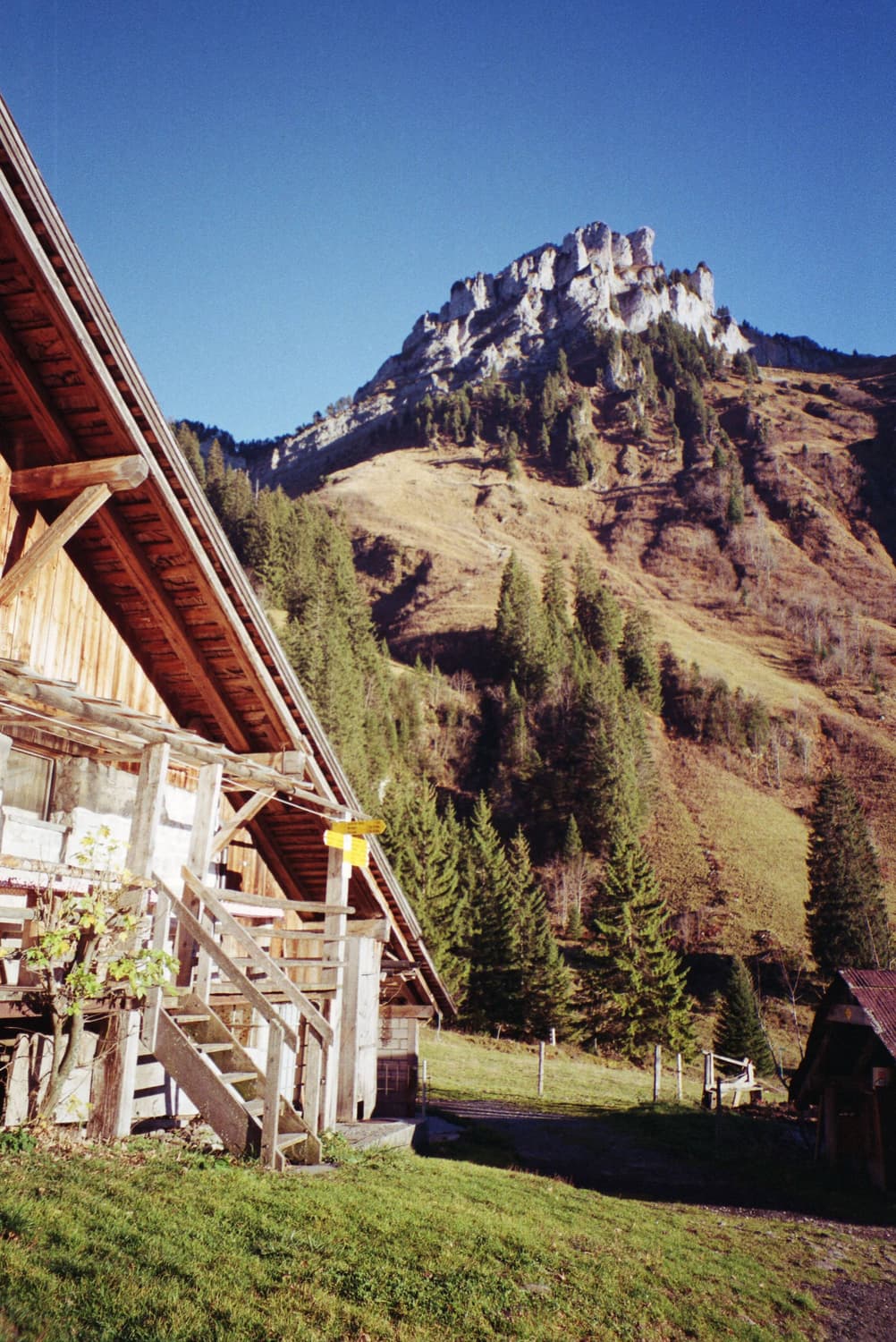 작례O 그림같은 결과물 미놀타 riva zoom 70 데이트 필름카메라  상품이미지2