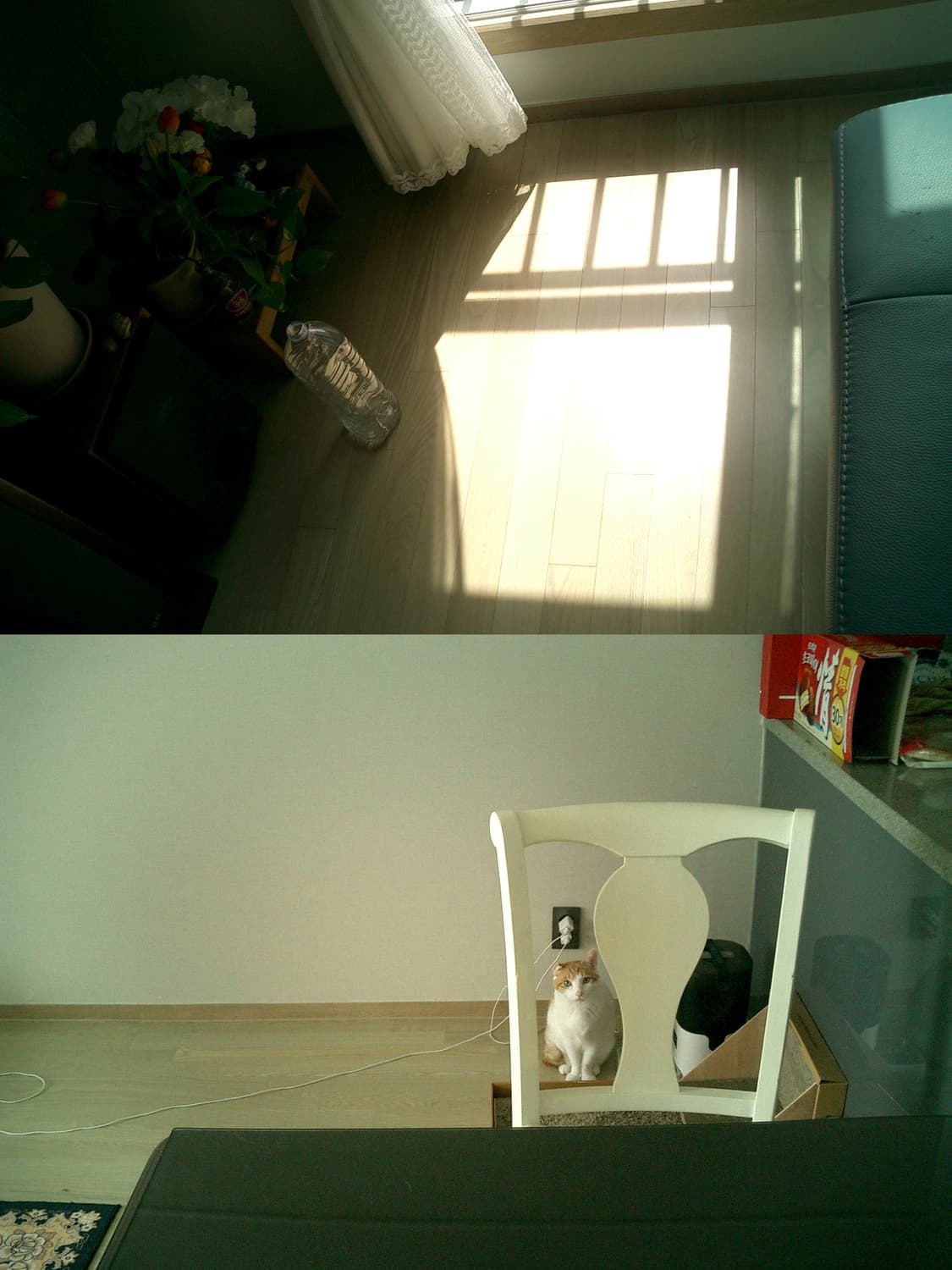 카시오 엑슬림 EX-S3 디지털카메라 상품이미지2