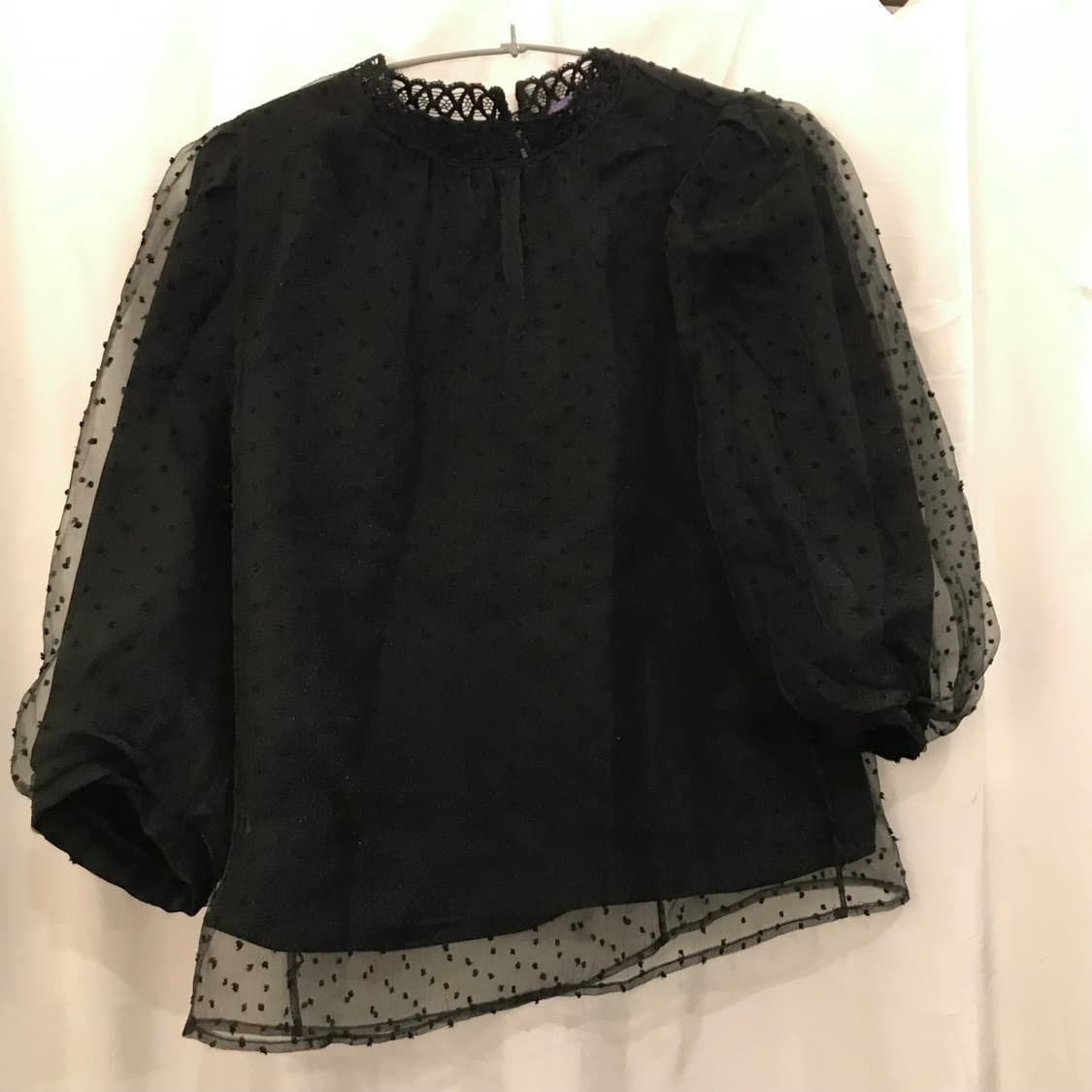 Anna Sui 안나수이 고스로리 레이스 시스루 탑 상품이미지2