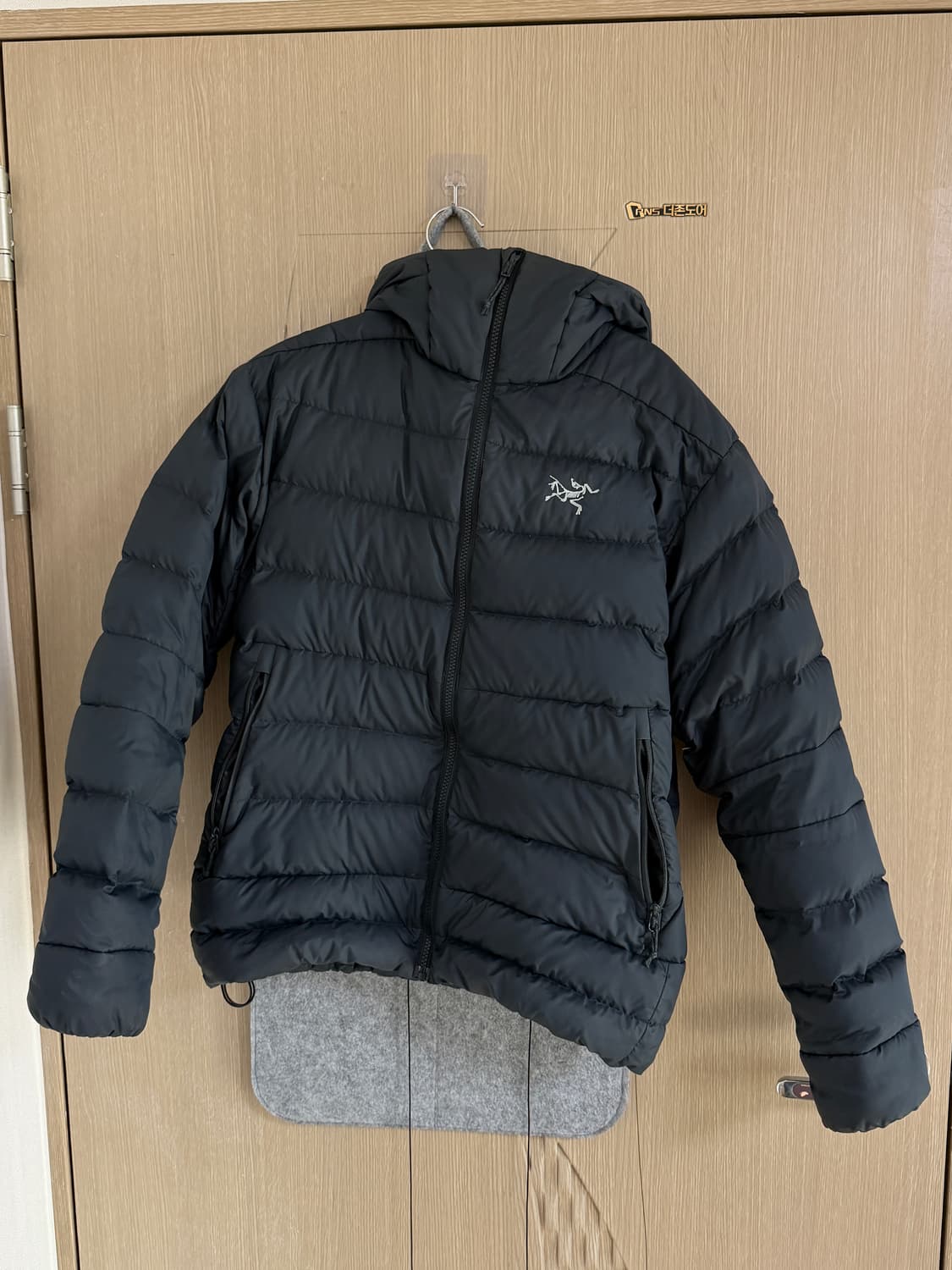 아크테릭스 토륨ar 후디  M 상품이미지1