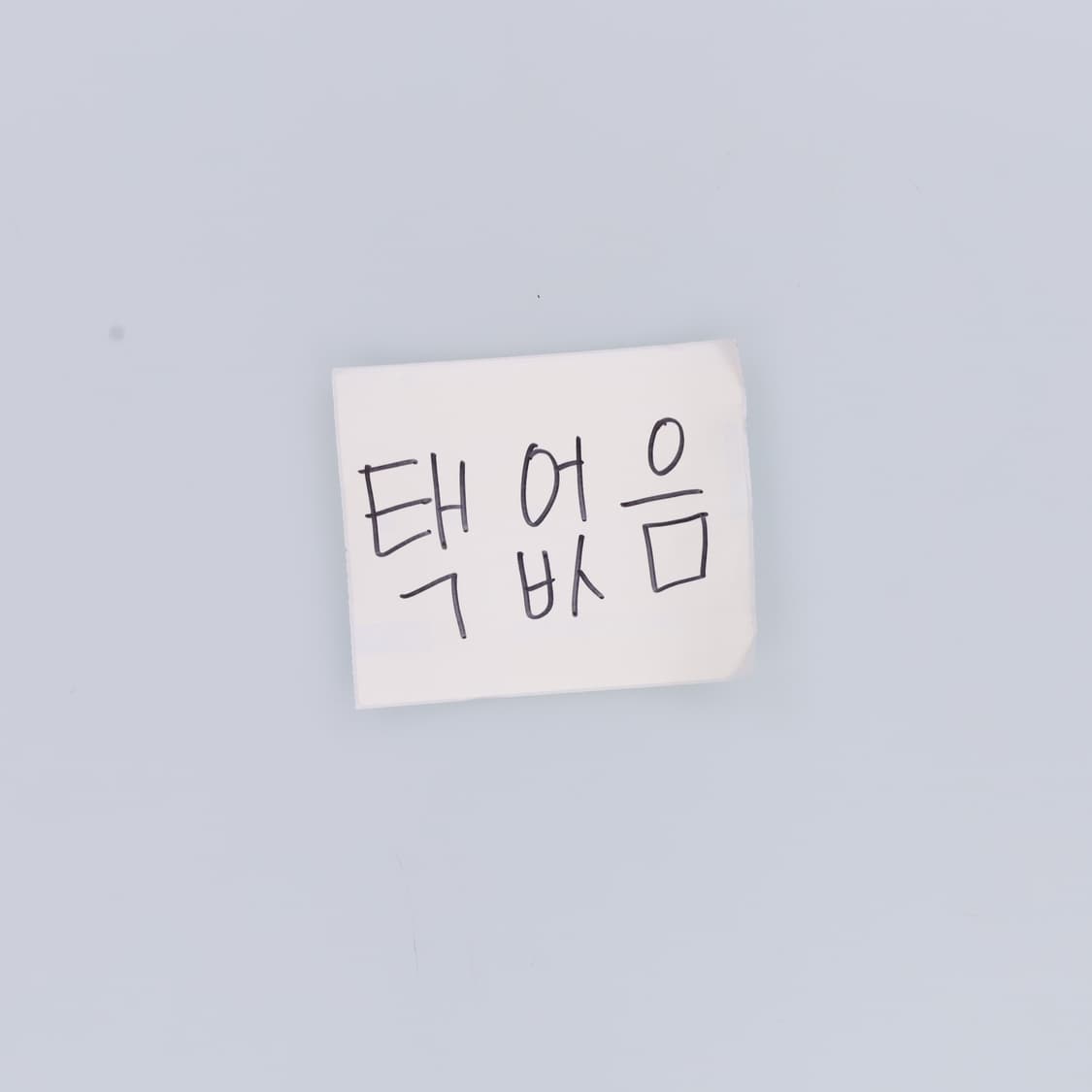 XL 베어 프린팅 반팔 티셔츠 0331H1 상품이미지4