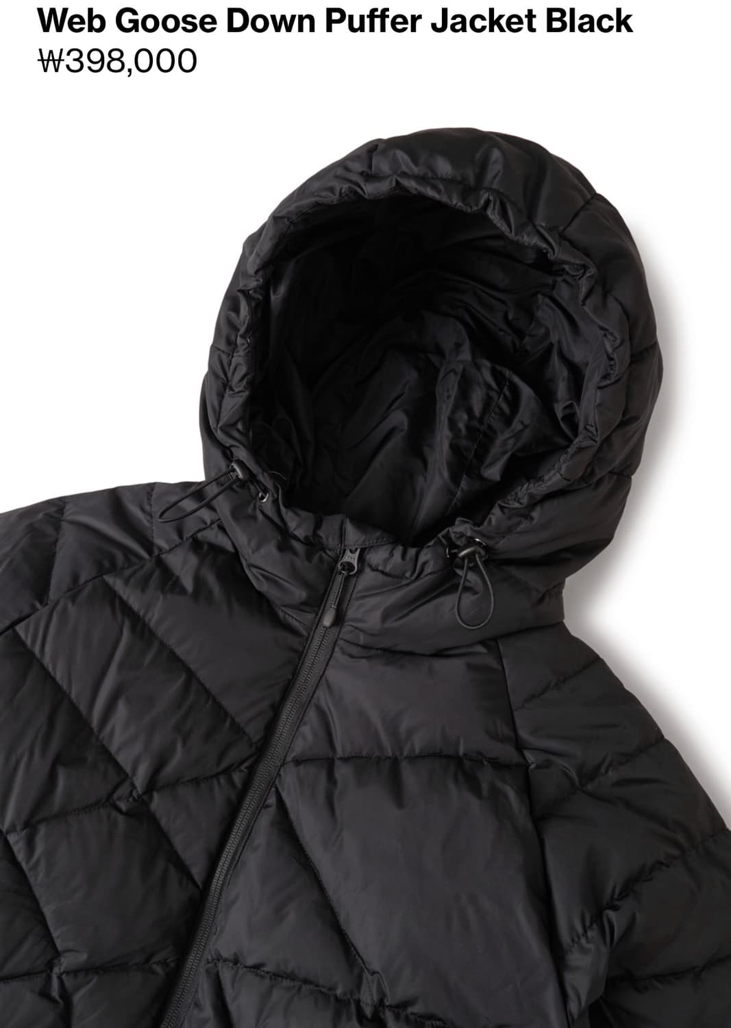 25FW Web Goose Down Puffer Black 상품이미지3