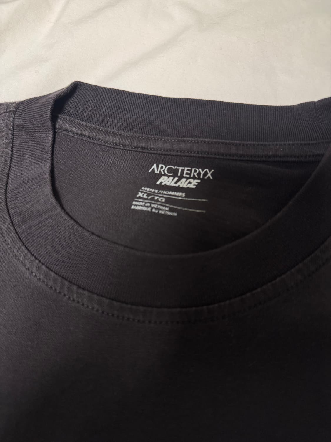 Palace x Arcteryx 팔라스 아크테릭스 티셔츠 상품이미지5