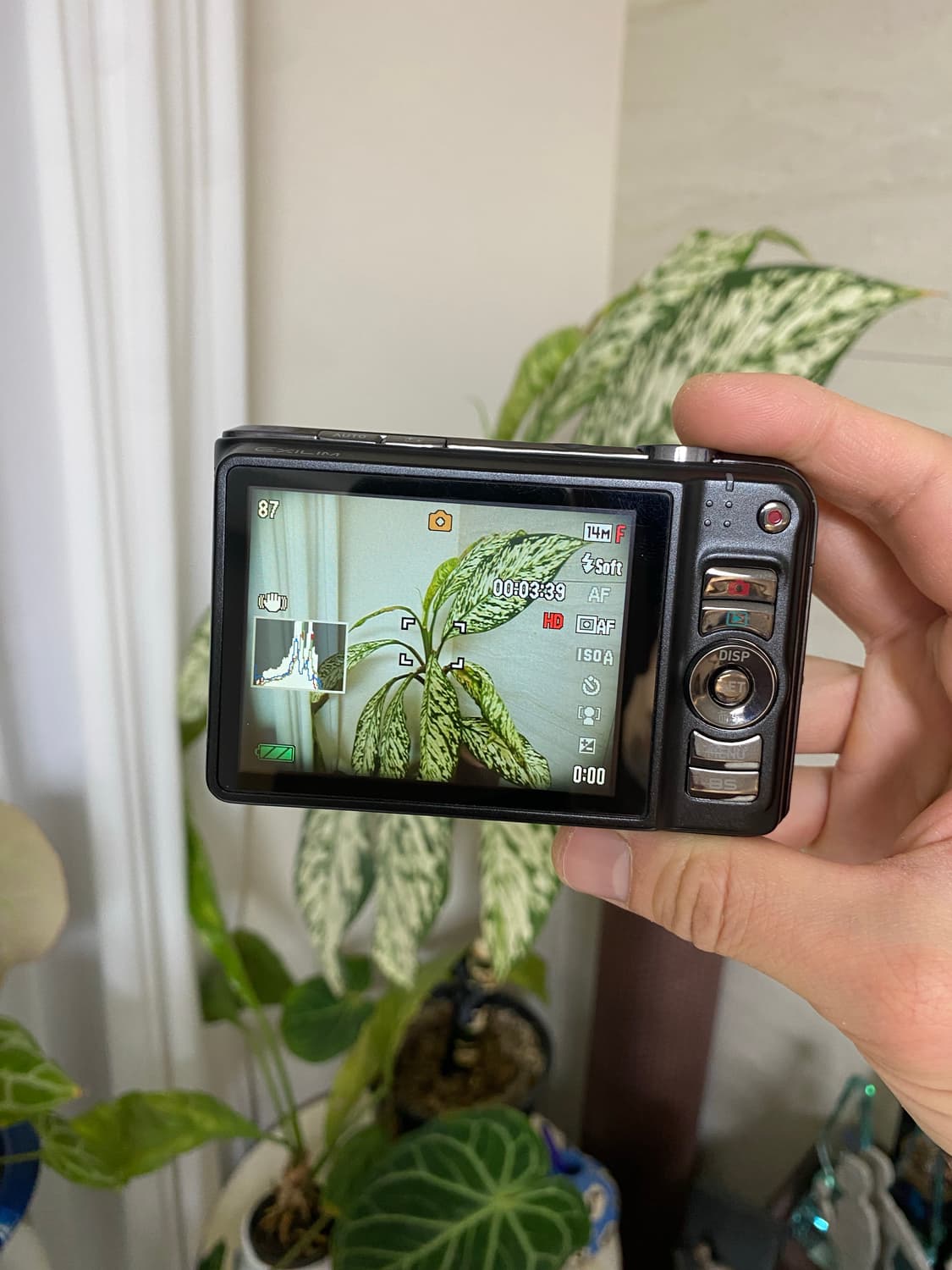 [예약] 카시오 엑슬림 EX-H15 디지털 카메라 상품이미지4