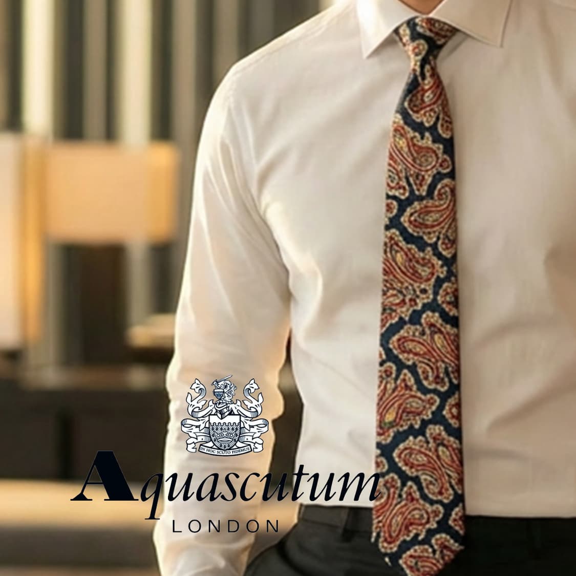 아쿠아스큐텀 네이비 레드 페이즐리 넥타이 9.5cm A+등급 E777
 상품이미지1