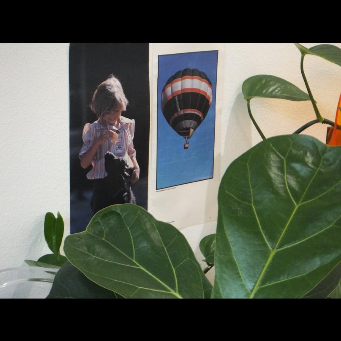 작례⭕️ 후지 파인픽스 Z100EXR  루비 핑크 글로시💗 빈티지 디카 상품이미지7