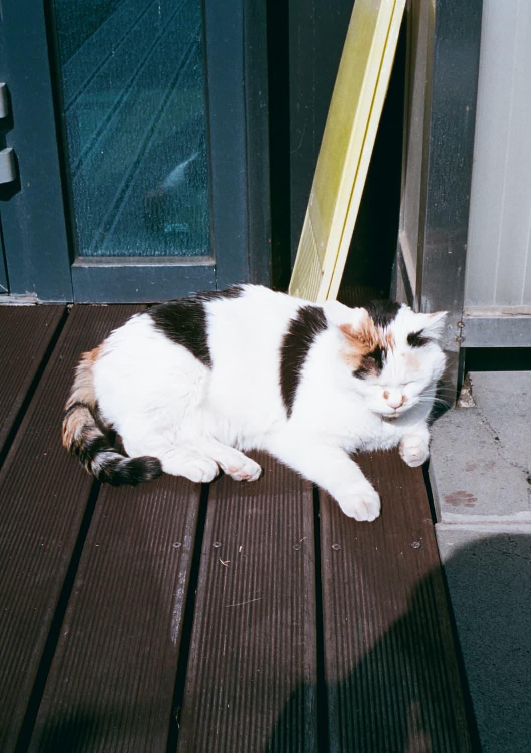 올림푸스 PEN EED 하프카메라 상품이미지9