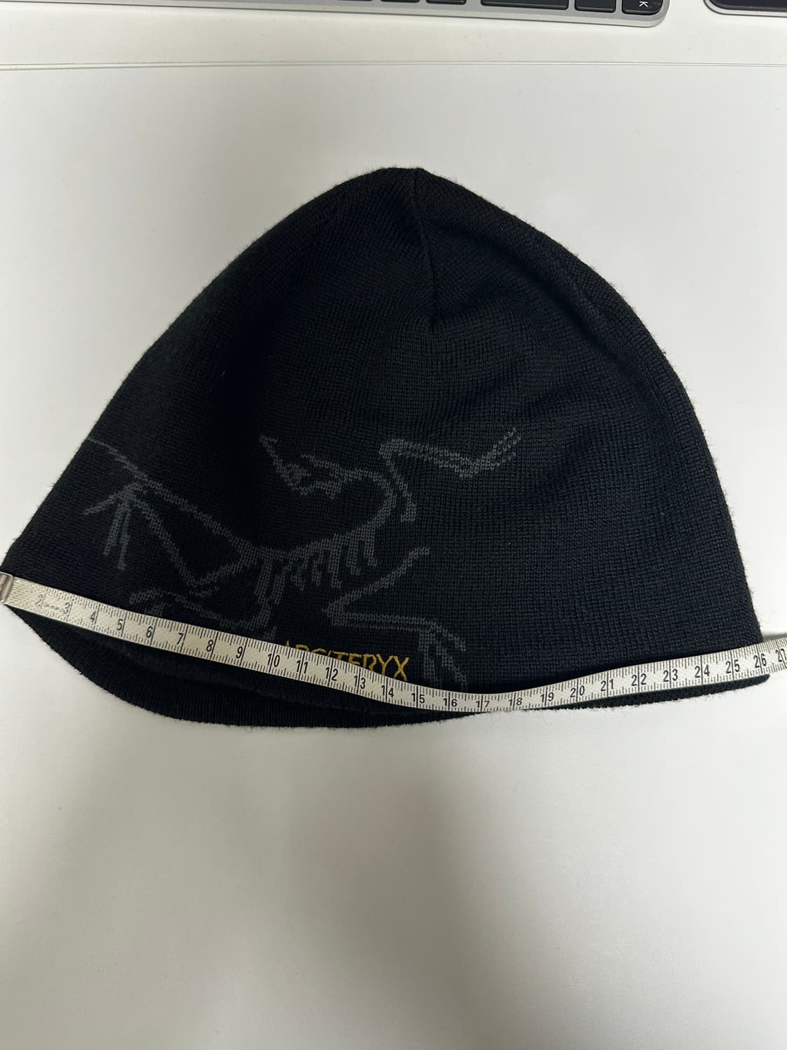 아크테릭스 토크 비니 구형 상품이미지6