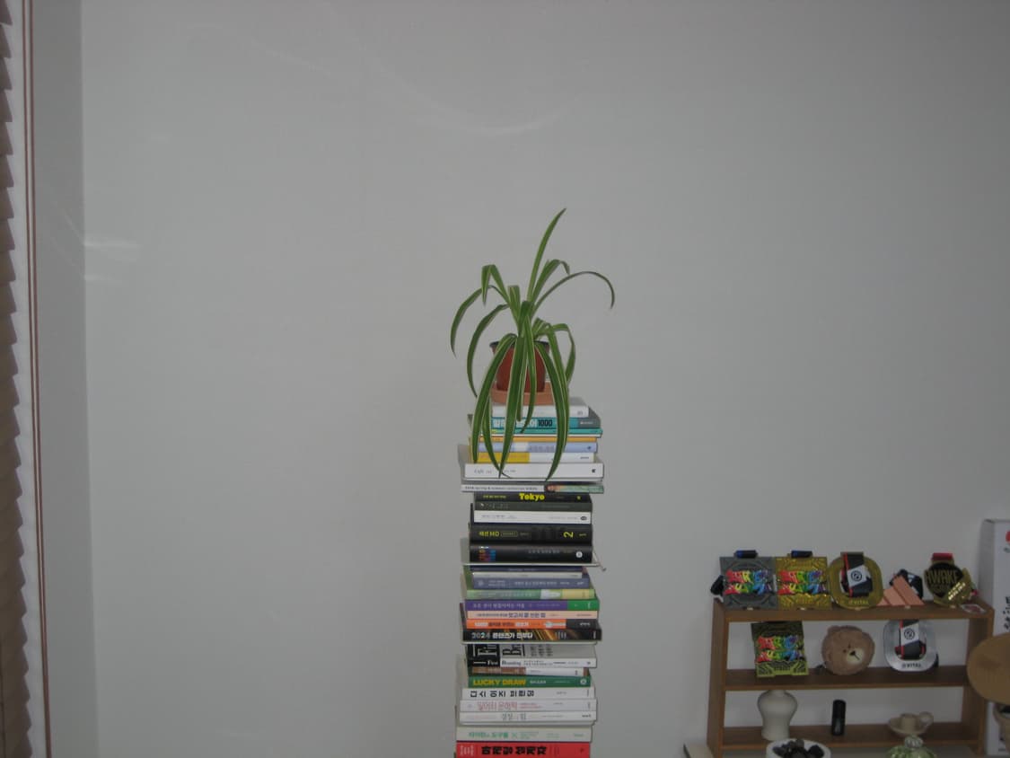 캐논 익서스 70 익시 10 빈티지 카메라 상품이미지9