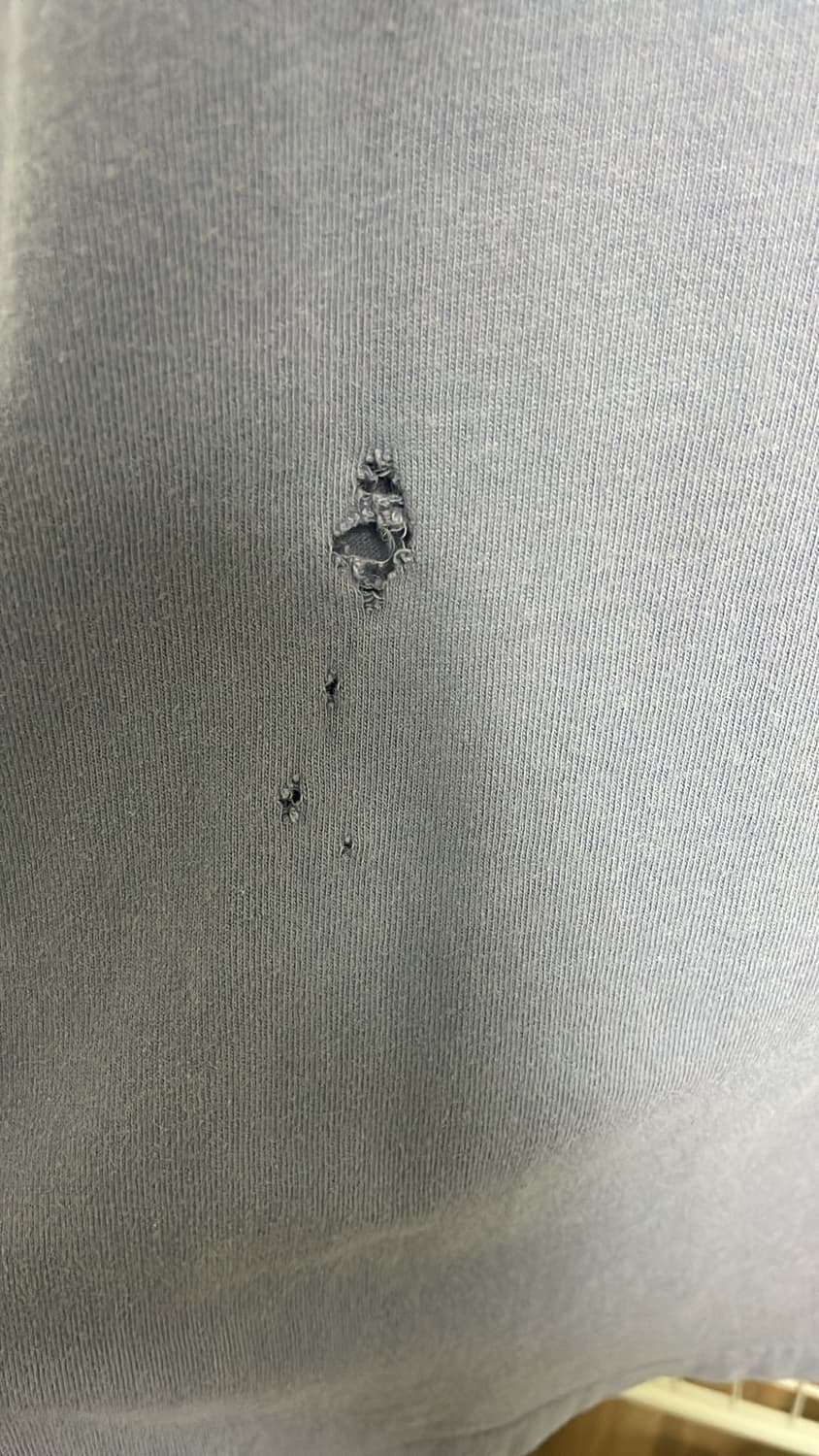 디스이즈네버댓 반팔 상품이미지3