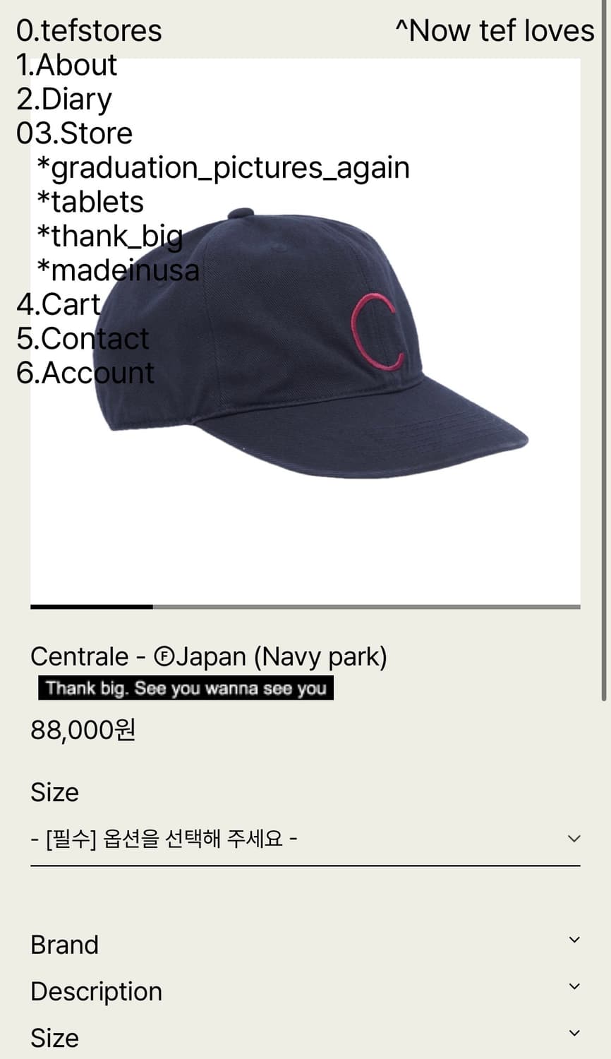 구매)) Tefstores - centrale M 삽니다 상품이미지1