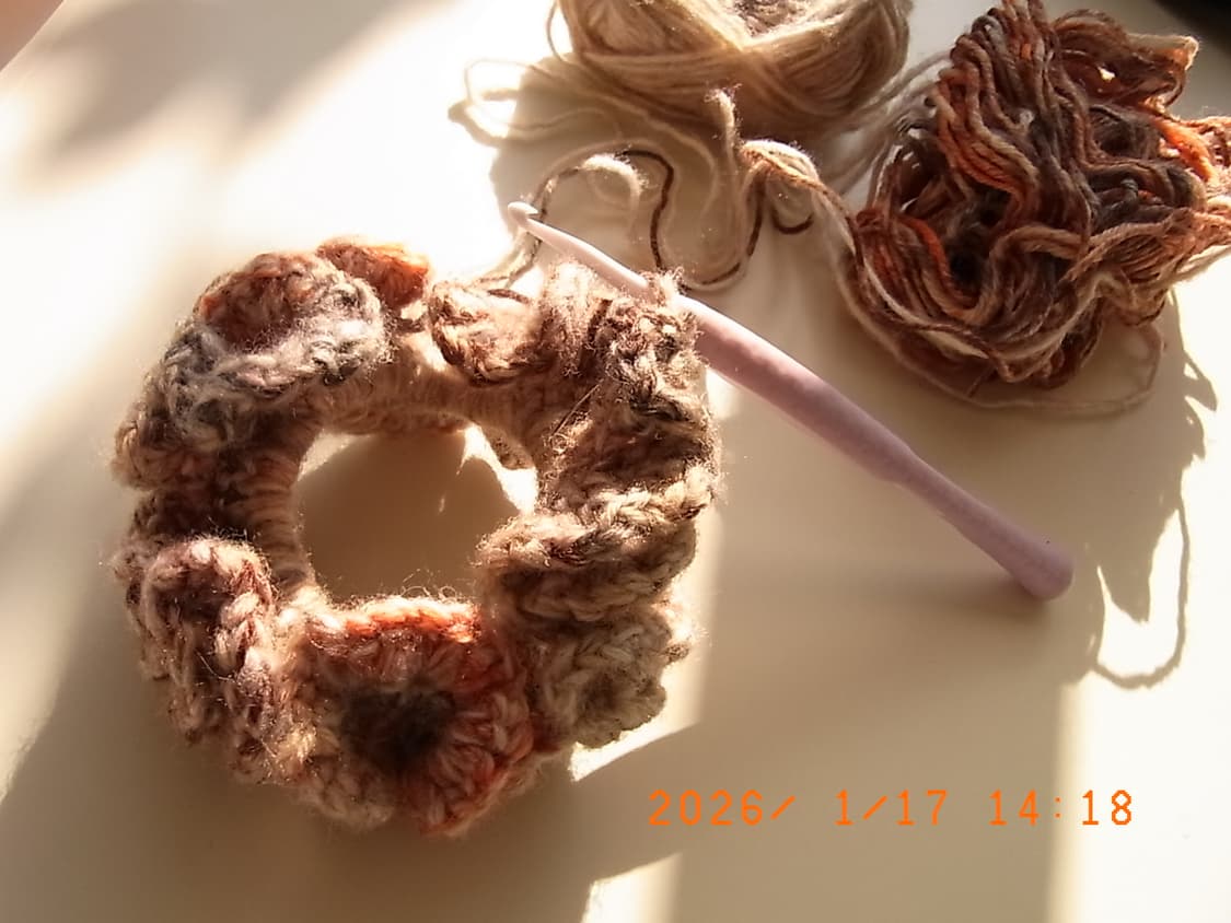 RICOH CX2 디지털 카메라 상품이미지10