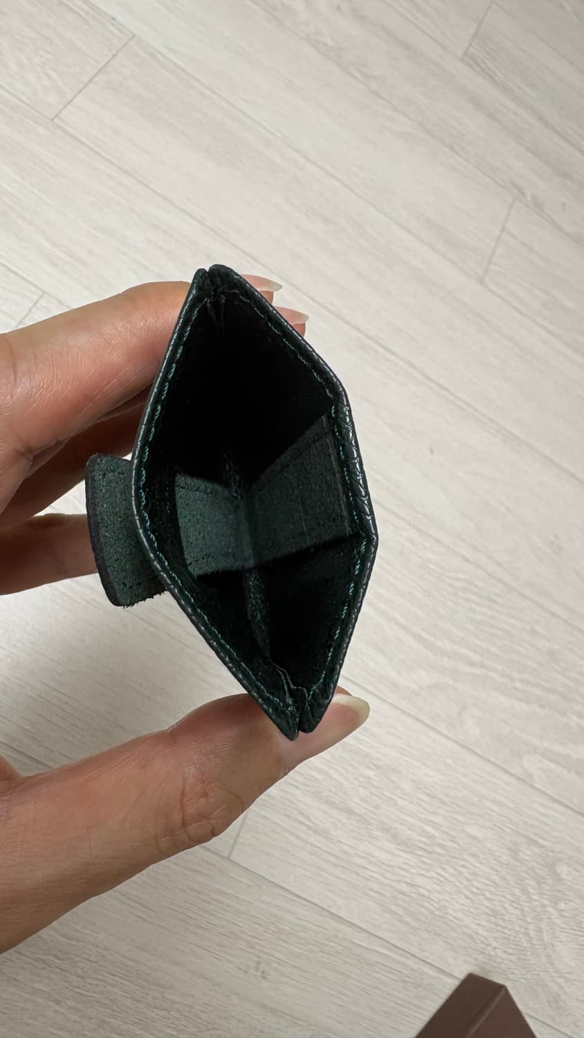 루이비통 타이가 그린 카드지갑 상품이미지3