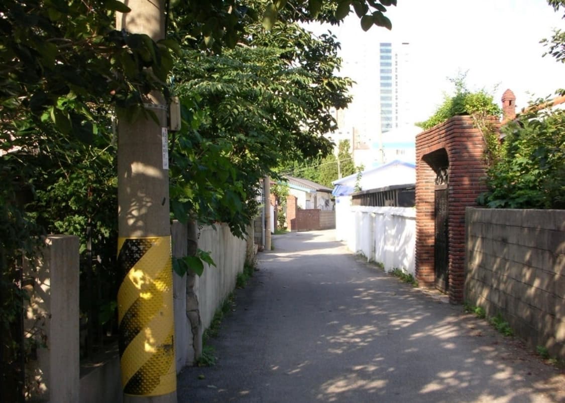 노제카메라/작례O) 니콘 쿨픽스 S3 nikon coolpix S3 상품이미지6