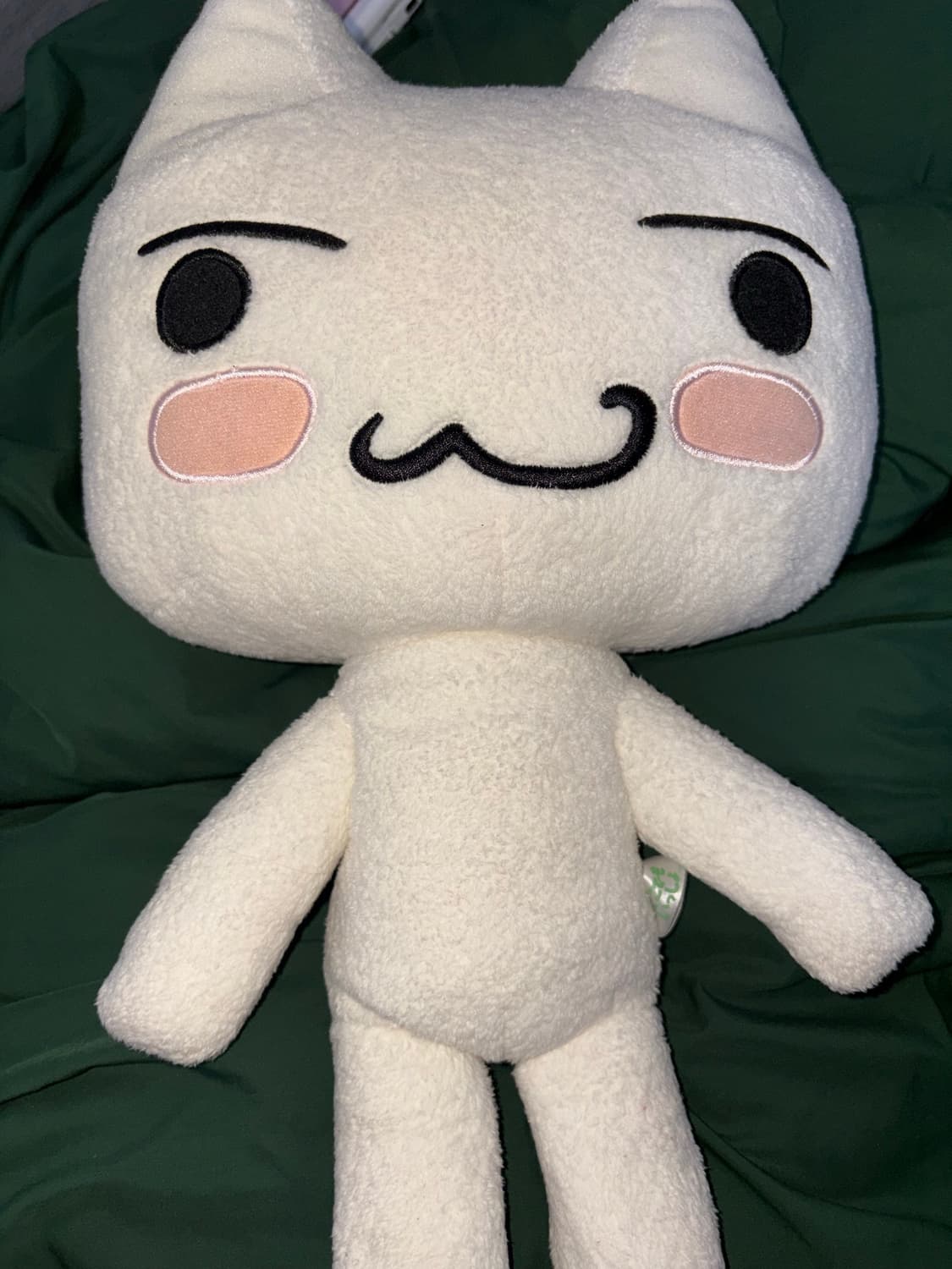 고전) 도코데모잇쇼 토로 인형 상품이미지5