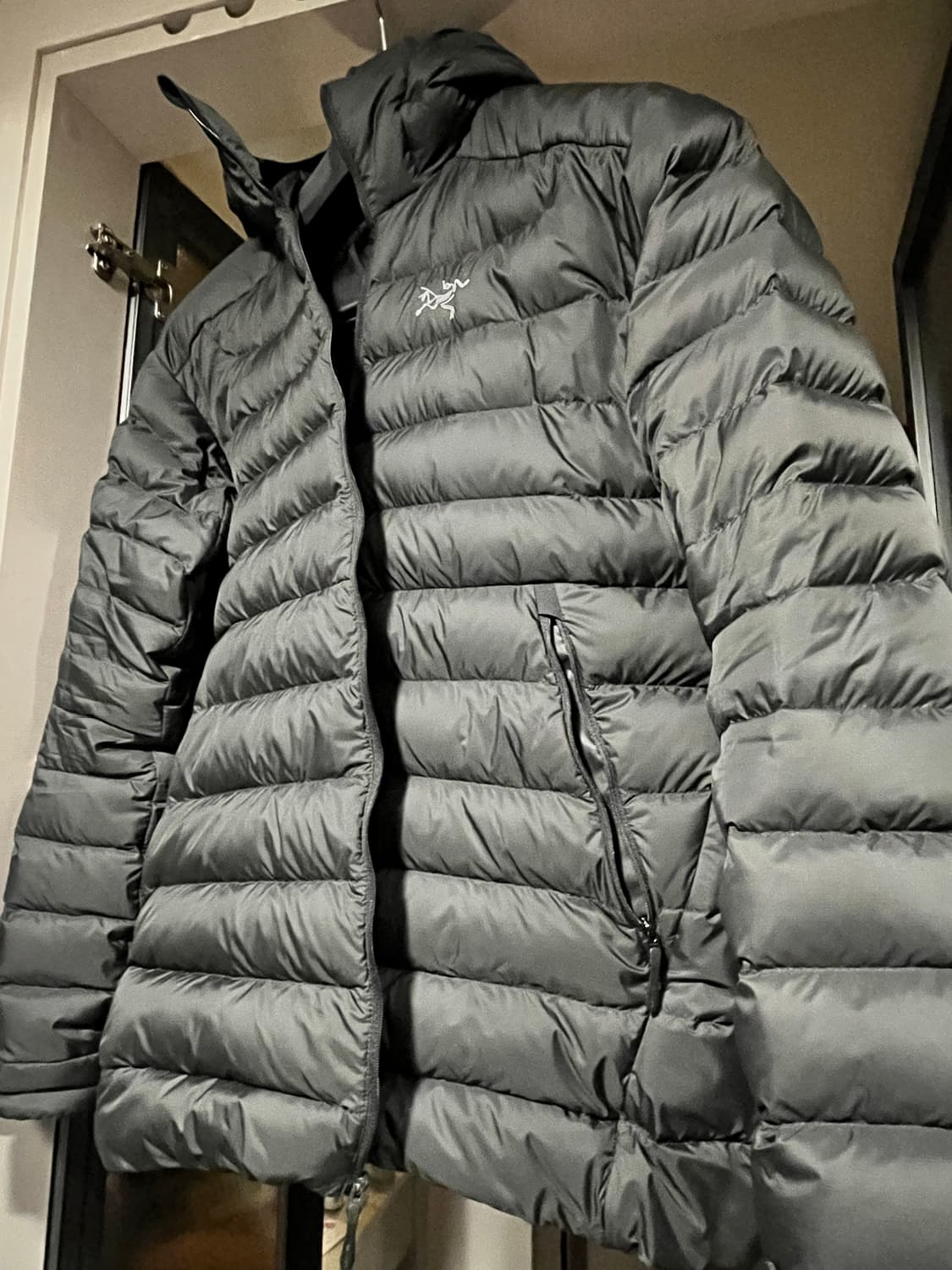 아크테릭스 세륨 후디 L 상품이미지1