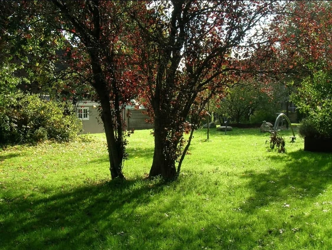 🩵선물/소장용📦니콘 쿨픽스 5600 🍒 상큼한 감성샷 미니디카✨ 상품이미지9