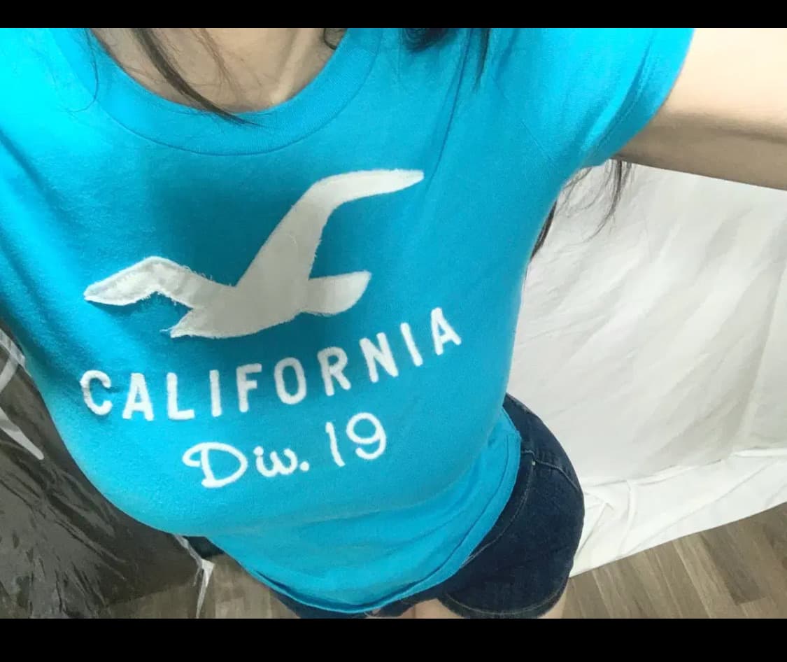 홀리스터 티 상품이미지3