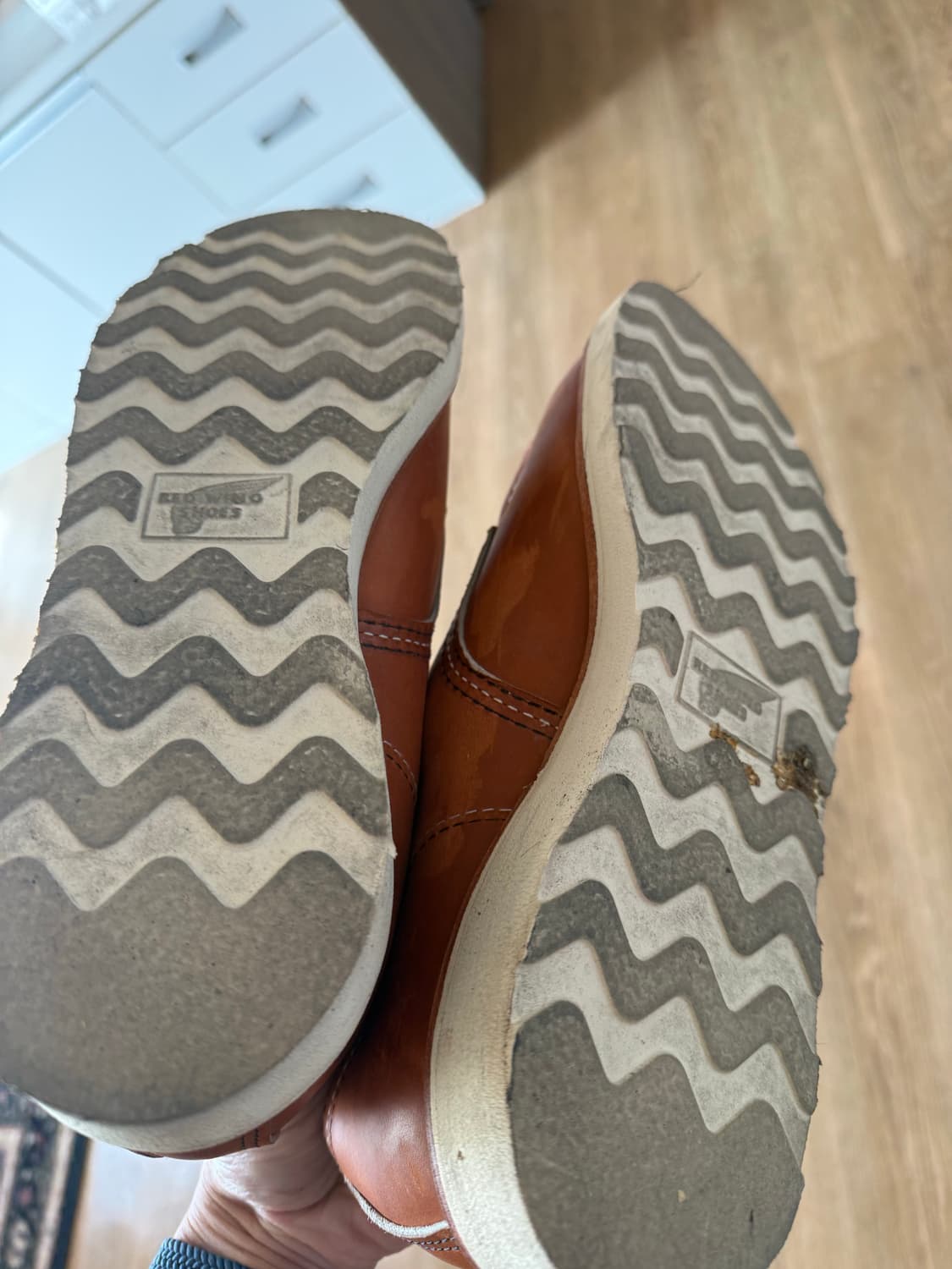 레드윙 8092 옥스포드 목토 상품이미지4