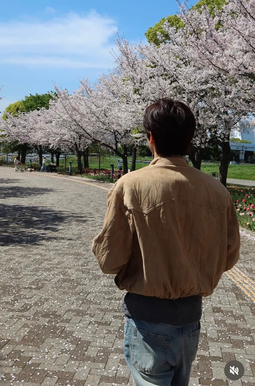 렉토 26SS 스웨이드 헤링턴 점퍼 데저트 상품이미지2