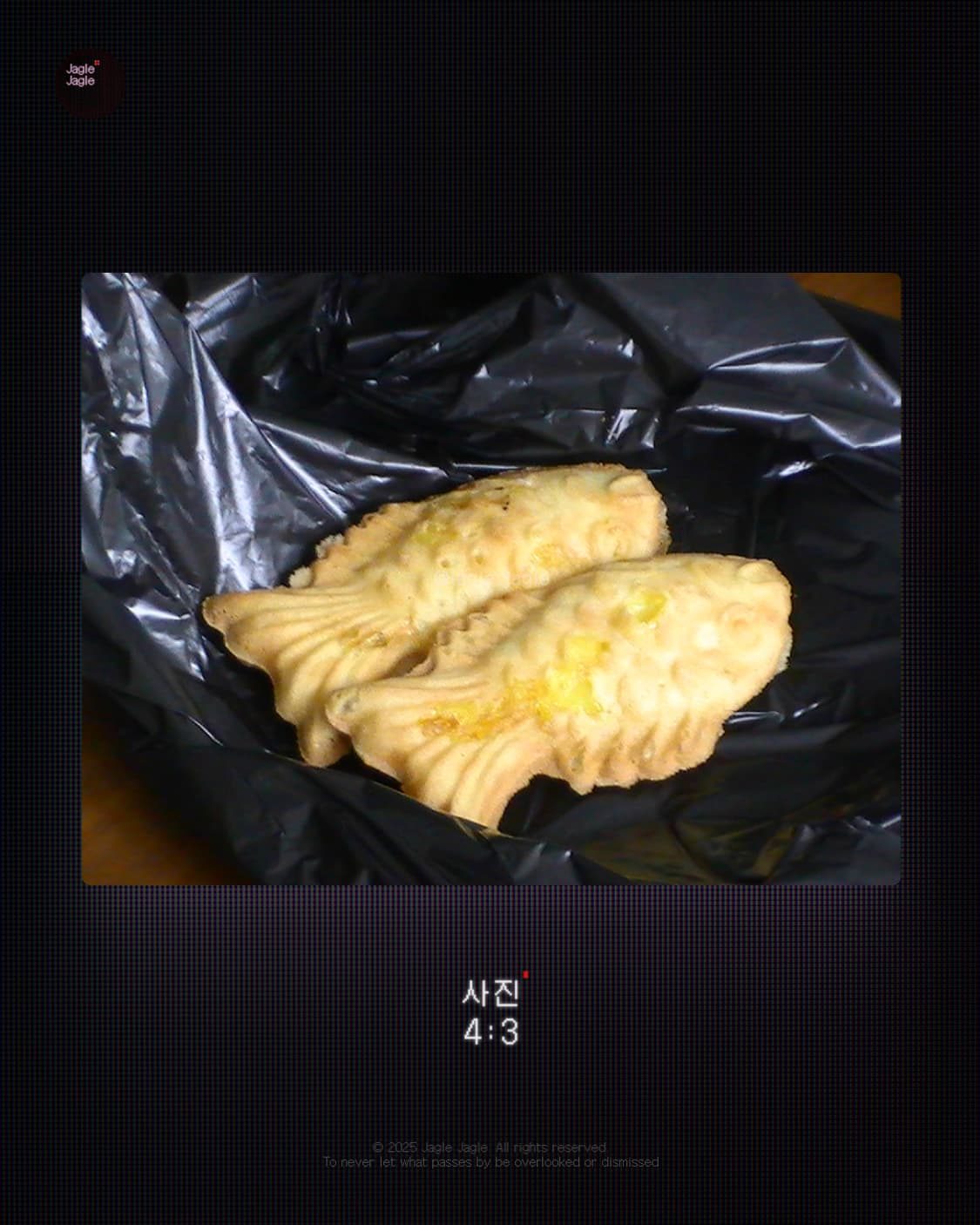 🐤입문용🐤JVC GZ-MG760 (2008)|캠코더/디카 상품이미지4