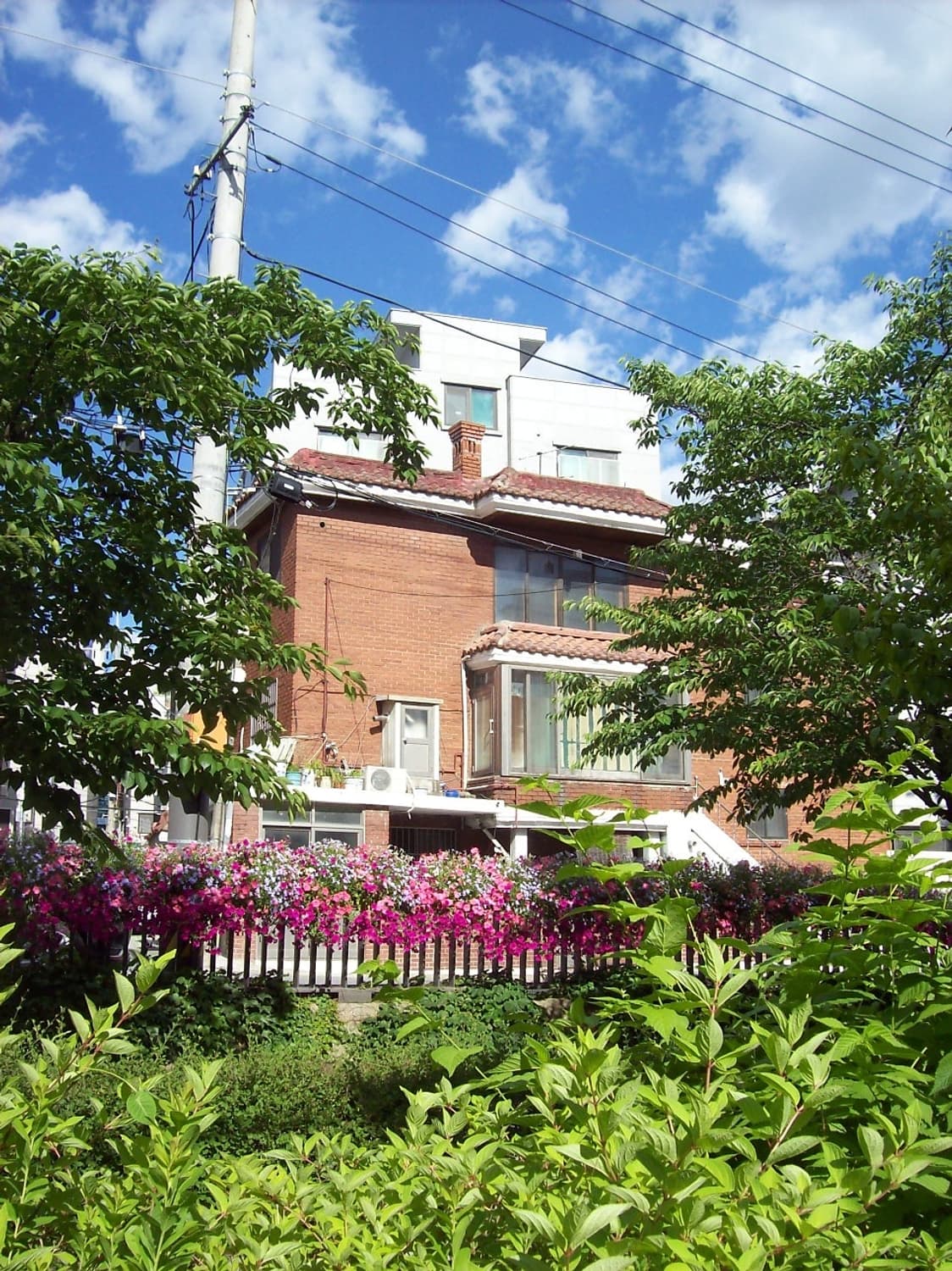 코닥 이지쉐어 C813 실버 Kodak Easyshare C813  상품이미지10