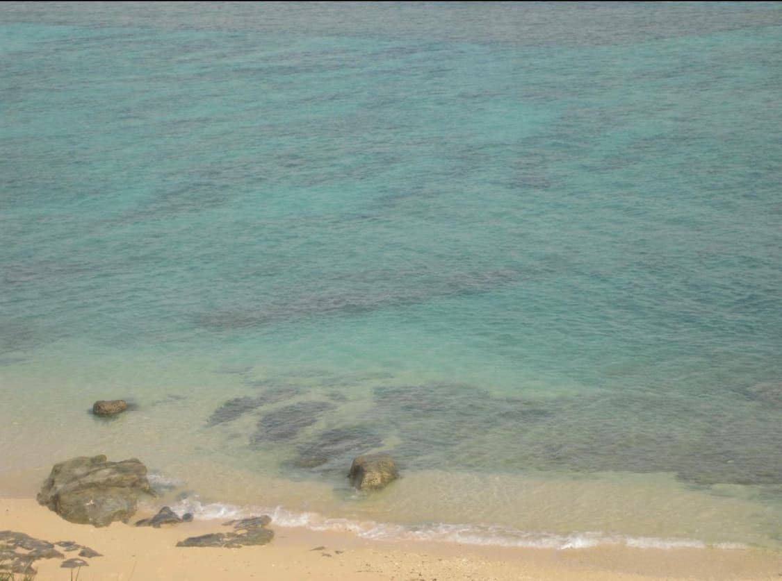 캐논 익서스 90IS 미우미우 디카 작례O 상품이미지8