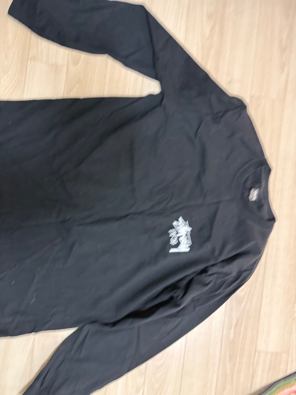 스투시 파리 롱슬리브 L  상품이미지1